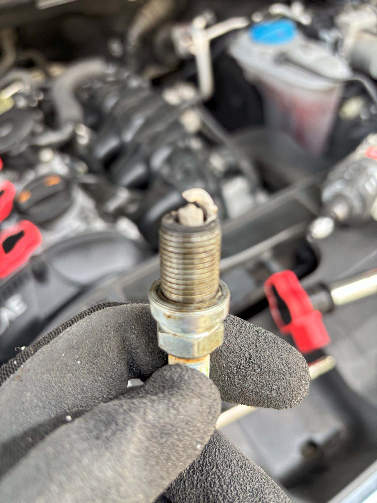 Audi VW Engine & Maintenance Products