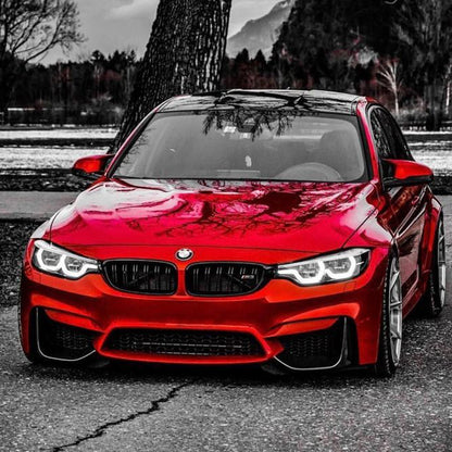 BMW F8X M3/M4 and F3X 428i, 430i, 435i, 440i ABS front grille by Palenon Performance, featuring black slats and chrome accents.