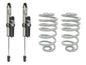 Fox Shock and Spring Bundle (Rear) [Syncro]