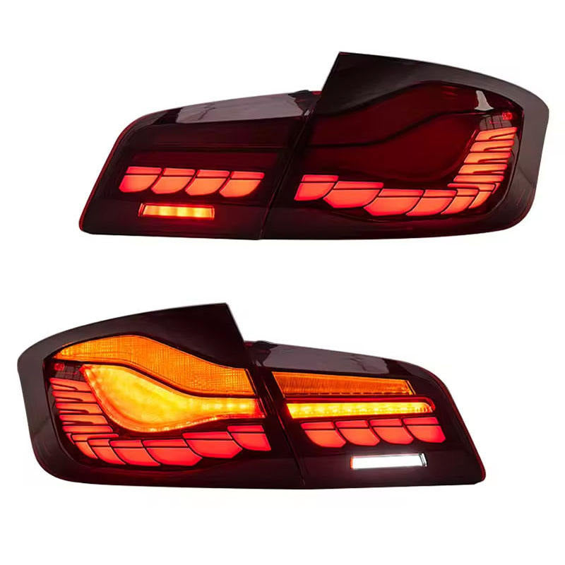 Vekto GTS Dragon Scale LED tail lights for BMW 5 Series F10/F18 2011-2017, showing sleek, illuminated taillight design.