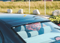 Black rear window cover for BMW E36 Sedan by K2 Industries, made of durable material, fits snugly over the rear window.